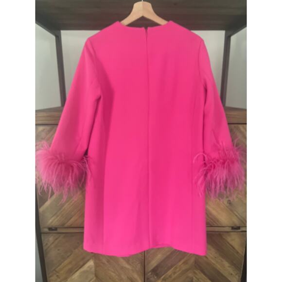 Tuckernuck Hot Pink Feather Mod Mary Dress Small - Picture 3 of 10